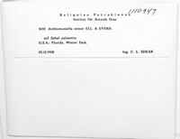 Image Associated With the Occurence